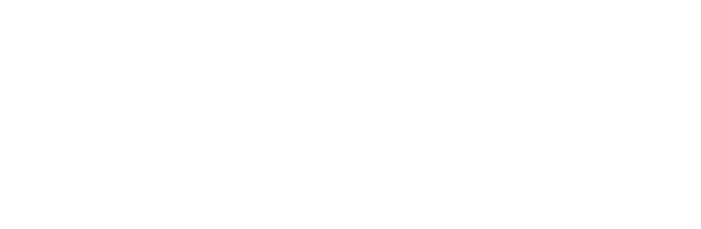 Stone IT
